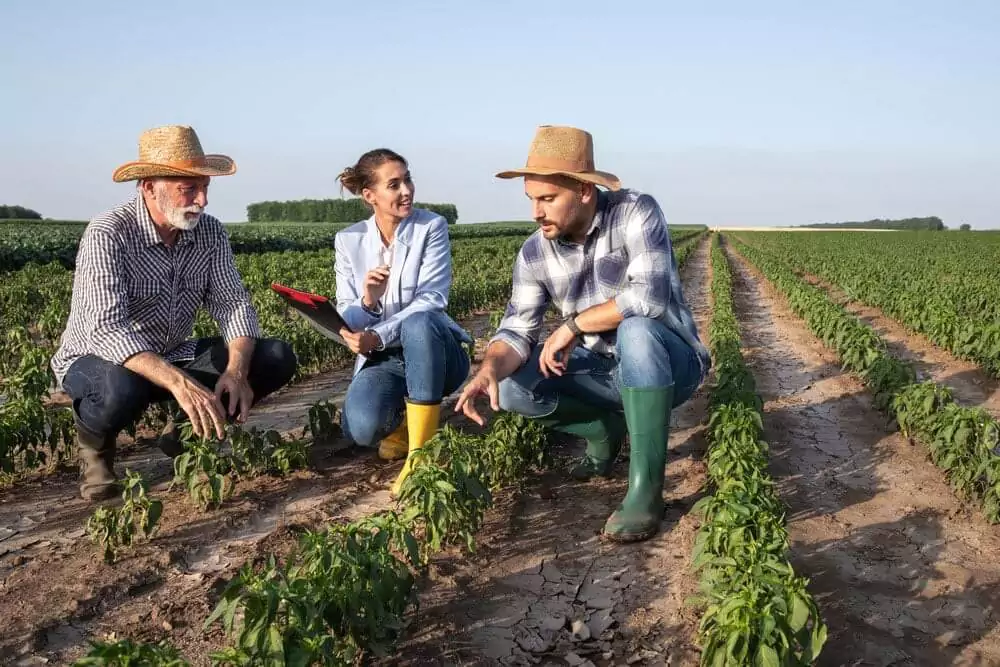 Comprar Diploma Agronomia